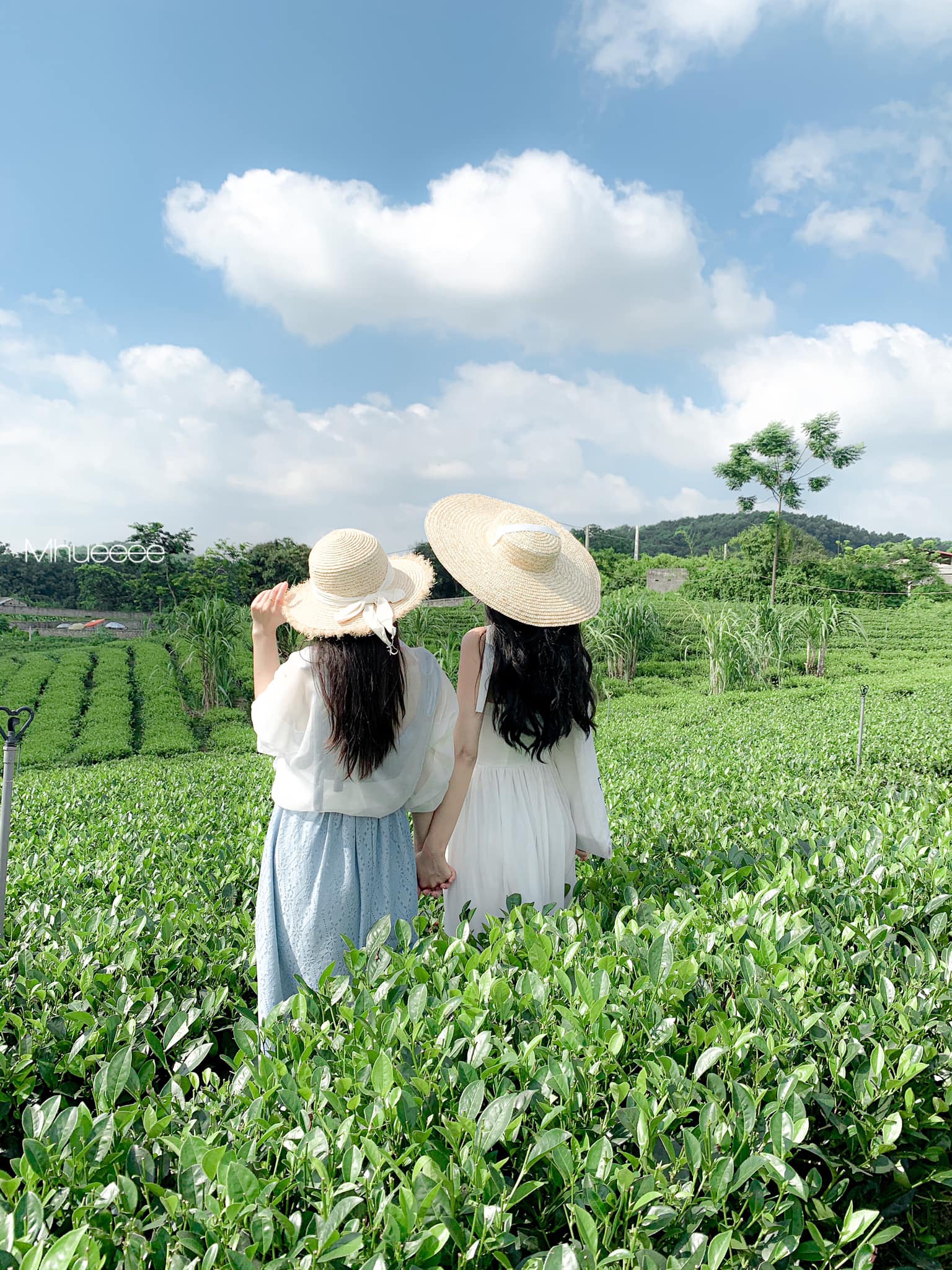 Thái Nguyên - vùng đất nổi tiếng với các đồi chè, nhưng không ngờ bây giờ lại có nhiều chỗ đẹp và lạ đến ngỡ ngàng thế này!  - Ảnh 16.