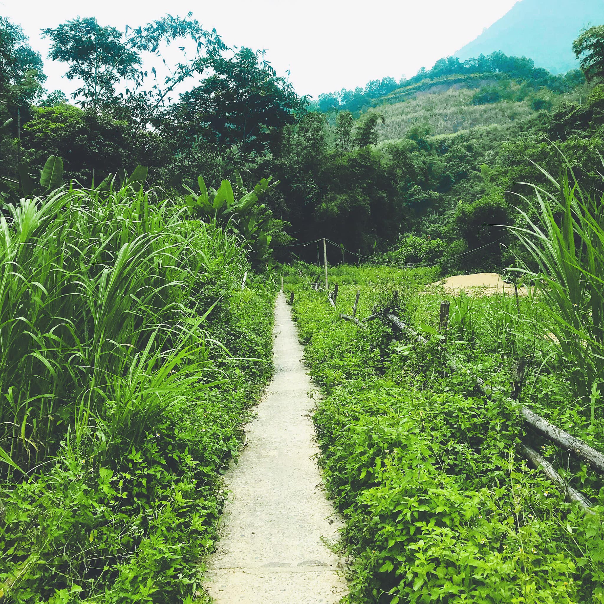 Thái Nguyên - vùng đất nổi tiếng với các đồi chè, nhưng không ngờ bây giờ lại có nhiều chỗ đẹp và lạ đến ngỡ ngàng thế này!  - Ảnh 22.