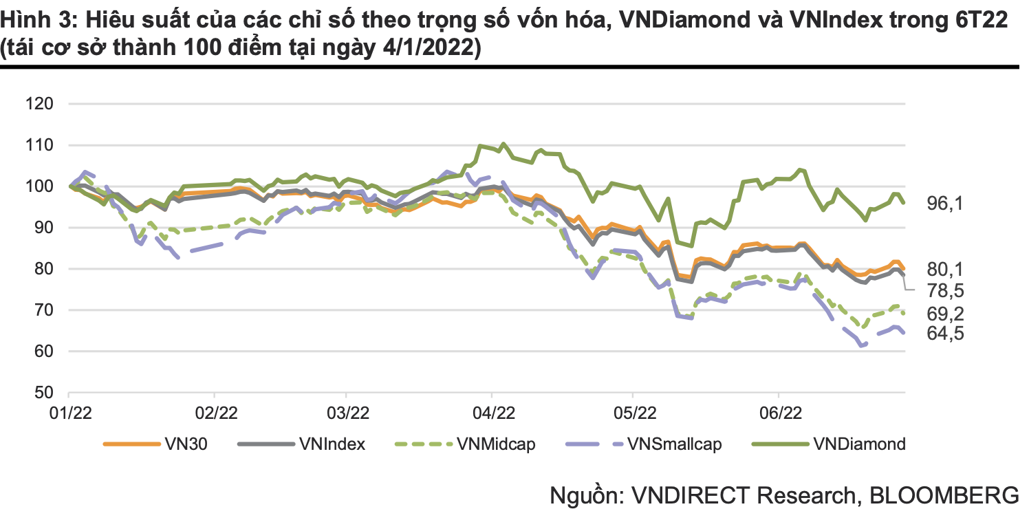 Cổ phiếu nào sẽ bị loại khỏi rổ VN30 trong kỳ cơ cấu tháng 7? - Ảnh 2.