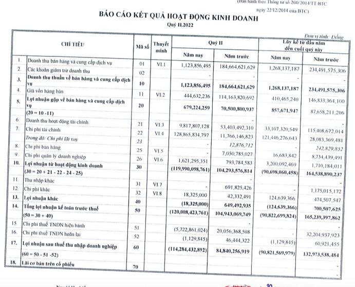 Kinh doanh bất động sản nhưng đầu tư chứng khoán là chính, Nhà Đà Nẵng (NDN) lỗ hơn 114 tỷ trong quý 2/2022 - Ảnh 1.