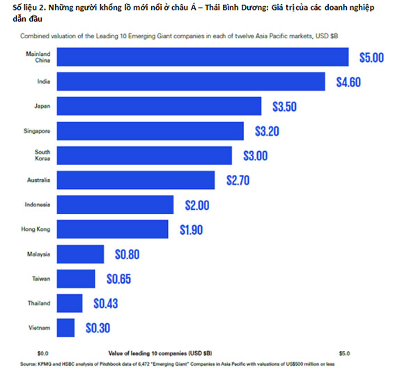 Hé lộ những kỳ lân tiềm năng của khu vực châu Á – Thái Bình Dương - Ảnh 2.