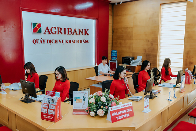 Agribank, Vietcombank bán đấu giá nhiều bất động sản tại TP HCM - Ảnh 1.
