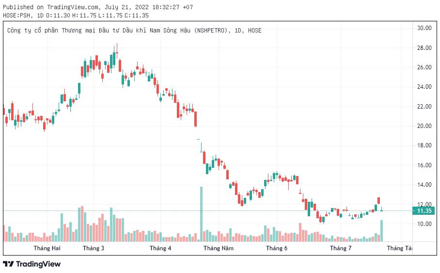 NSH Petro (PSH) lỗ 265 tỷ đồng trong quý 2 vì kinh doanh dưới giá vốn - Ảnh 4.