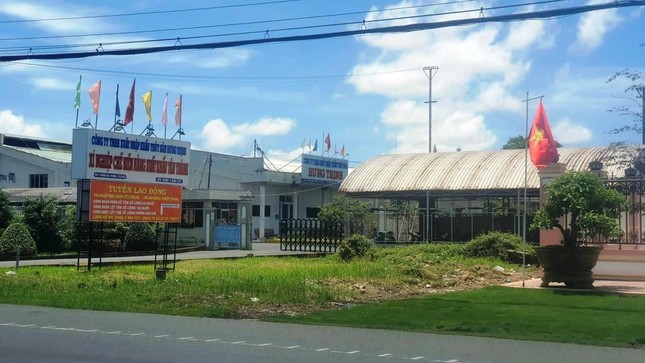  Sở Tư pháp Cà Mau đề nghị thu hồi khu đất hơn 25.000 m2 đấu giá sai quy định  - Ảnh 1.