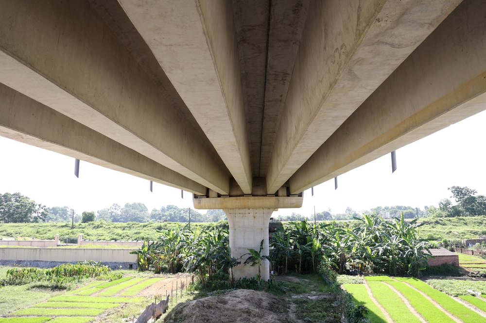 Ảnh: Người dân phơi thóc, chăn thả gia súc trên cây cầu được đầu tư cả trăm tỷ - Ảnh 12. Ảnh: Người dân phơi thóc, chăn thả gia súc trên cây cầu được đầu tư cả trăm tỷ - Ảnh 12.