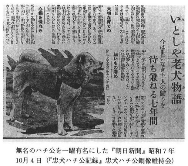  Những chuyện ít người biết về Hachiko - chú chó đứng ở sân ga 10 năm đợi chủ đã trở thành biểu tượng của lòng trung thành - Ảnh 6.