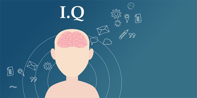  Bé gái 2 tuổi đã gia nhập cộng đồng những người có IQ cao nhất thế giới, nhưng ai cũng lo ngại IQ không tạo nên thành công  - Ảnh 1.