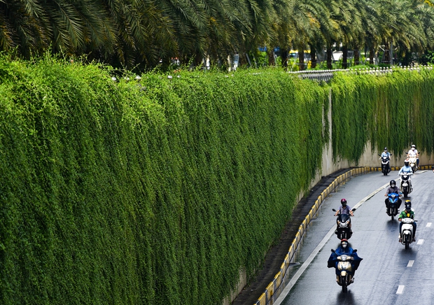  Cận cảnh bức tường xanh hiếm có giữa hầm chui ở Hà Nội giúp người dân giải nhiệt ngày nắng nóng - Ảnh 11.