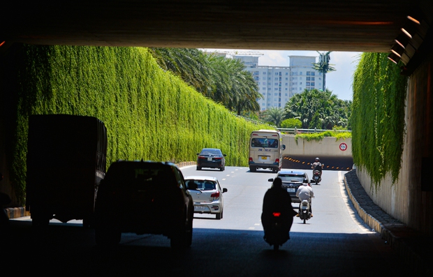  Cận cảnh bức tường xanh hiếm có giữa hầm chui ở Hà Nội giúp người dân giải nhiệt ngày nắng nóng - Ảnh 8.
