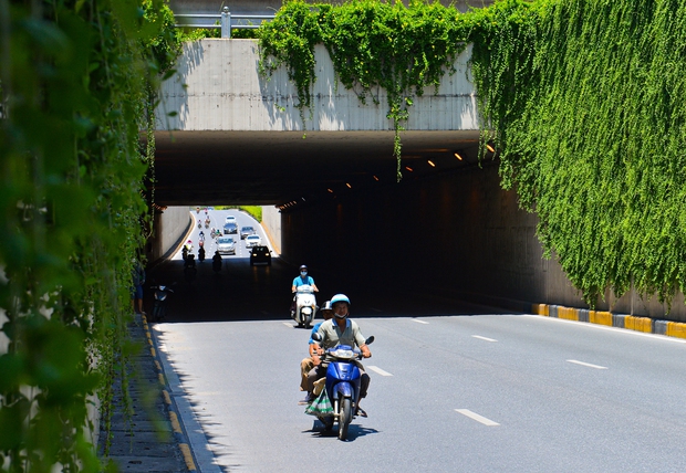  Cận cảnh bức tường xanh hiếm có giữa hầm chui ở Hà Nội giúp người dân giải nhiệt ngày nắng nóng - Ảnh 9.