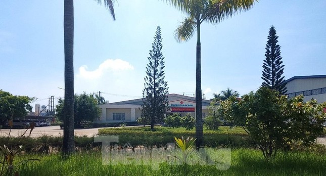 Hai doanh nghiệp bị truy thu và xử phạt hơn 4 tỷ đồng vì vi phạm thuế - Ảnh 2. Hai doanh nghiệp bị truy thu và xử phạt hơn 4 tỷ đồng vì vi phạm thuế - Ảnh 2.