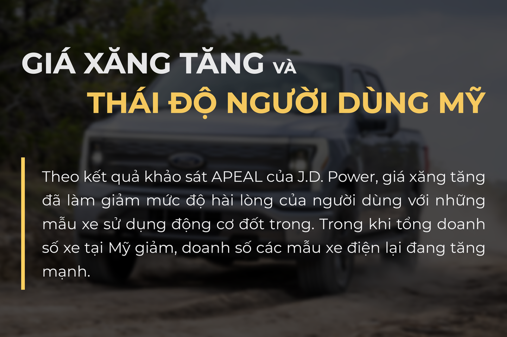  Khảo sát thái độ người dùng Mỹ với xe xăng: Cánh cửa đã mở toang đón xe điện VinFast?  - Ảnh 6.