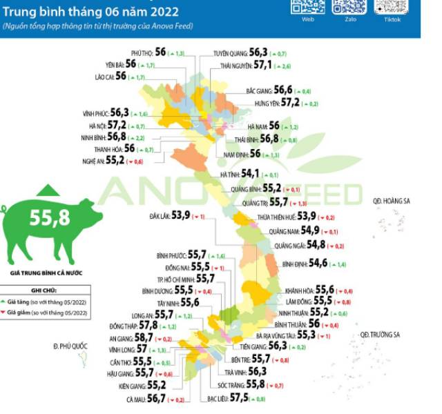 Giá heo hơi có nơi vượt 60.000 đồng/kg - Ảnh 1.