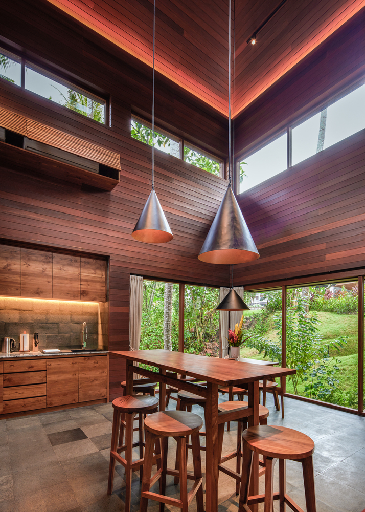 Nhà lồng chim giữa rừng nhiệt đới - Ảnh 6.