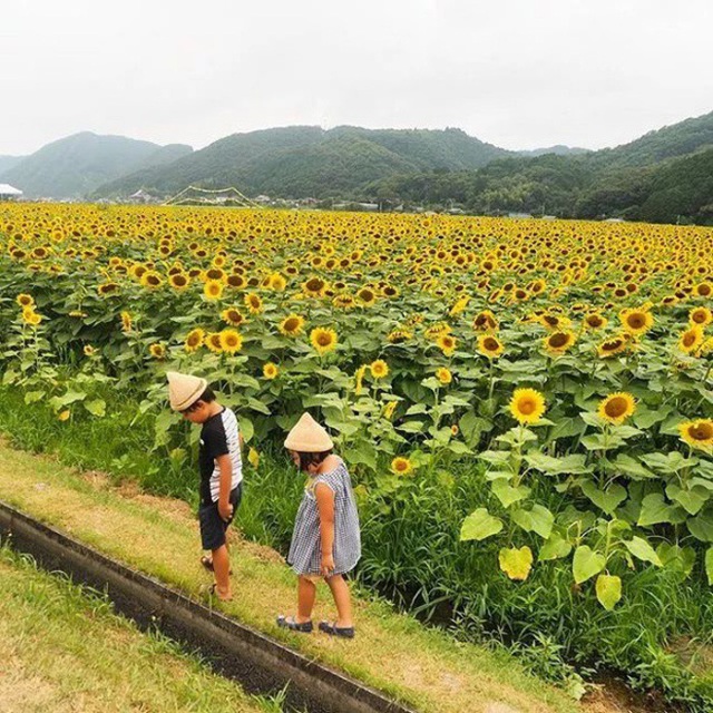 Rời bỏ thành thị náo nhiệt, nữ tiếp viên hàng không về quê, sống đơn giản bên khu vườn nhỏ và cánh đồng cùng chồng con  - Ảnh 8.