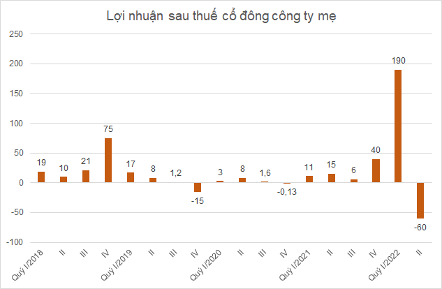 Sau quý đầu năm lãi kỷ lục, Saigontel báo lỗ 60 tỷ đồng quý II - Ảnh 2.