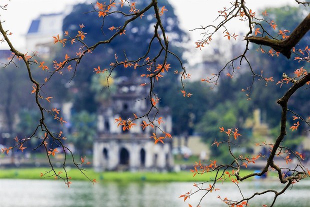 5 nơi đẹp nhất vào mùa thu ở Việt Nam: Địa danh cuối cùng các cặp đôi không nên bỏ lỡ - Ảnh 2.