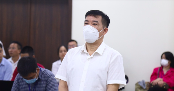 Cựu đại tá Phùng Anh Lê bị đề nghị mức án 9 - 10 năm tù - Ảnh 1.