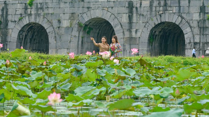 Ngỡ ngàng trước cảnh thanh bình ở di sản Thành nhà Hồ - Ảnh 3.