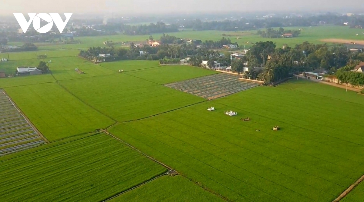 Công khai bảng giá đất vào ngày 1/1 hàng năm có phù hợp? - Ảnh 3. Công khai bảng giá đất vào ngày 1/1 hàng năm có phù hợp? - Ảnh 3.