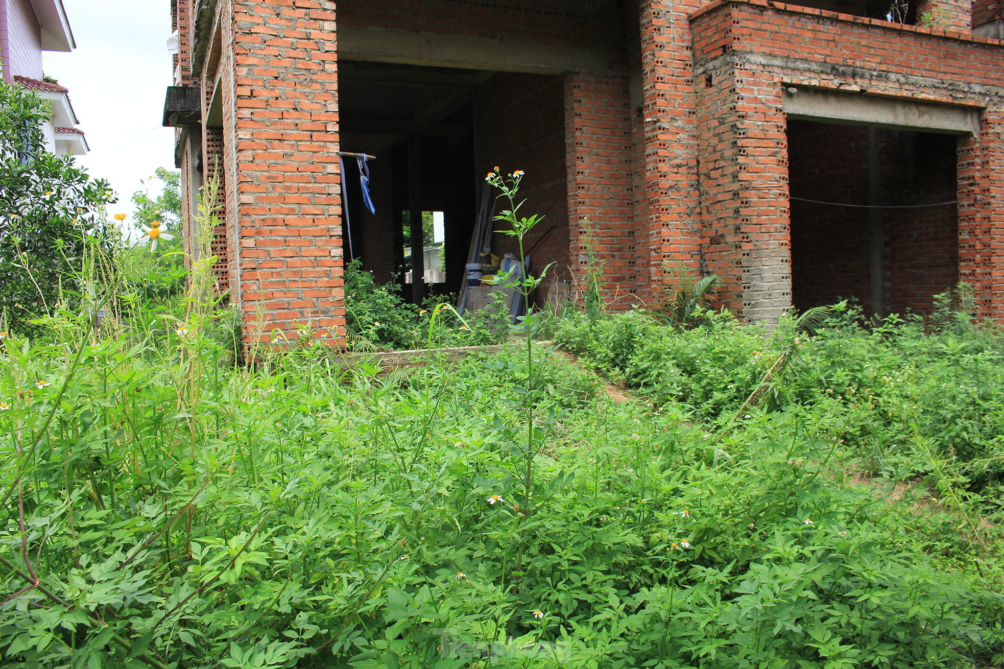 Bắc Ninh: Biệt thự tiền tỷ bỏ hoang thành nơi nuôi thả gà nhiều năm - Ảnh 13.