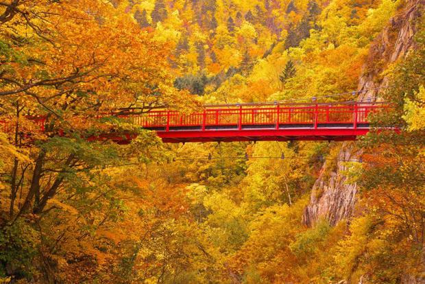Khám phá nơi đón mùa thu sớm nhất Nhật Bản: Du khách mãn nhãn với cảnh lá vàng đẹp như tranh - Ảnh 1.