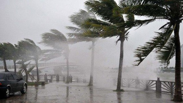  Biển Đông có thể đón thêm 8-10 cơn bão trong mùa mưa bão năm nay - Ảnh 1.