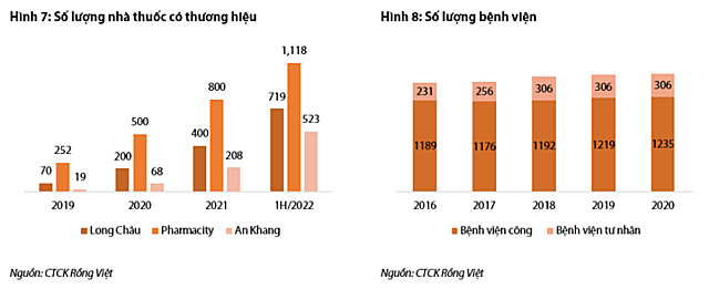 Ảnh hưởng từ chi phí, lợi nhuận nhóm dược phẩm phân hoá trong quý II - Ảnh 3.