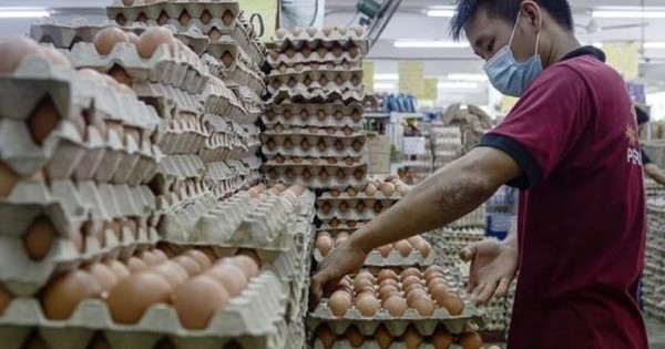 Trung Quốc: Gà đẻ ít hơn vì trời quá nóng, giá trứng tăng chóng mặt - Ảnh 1.