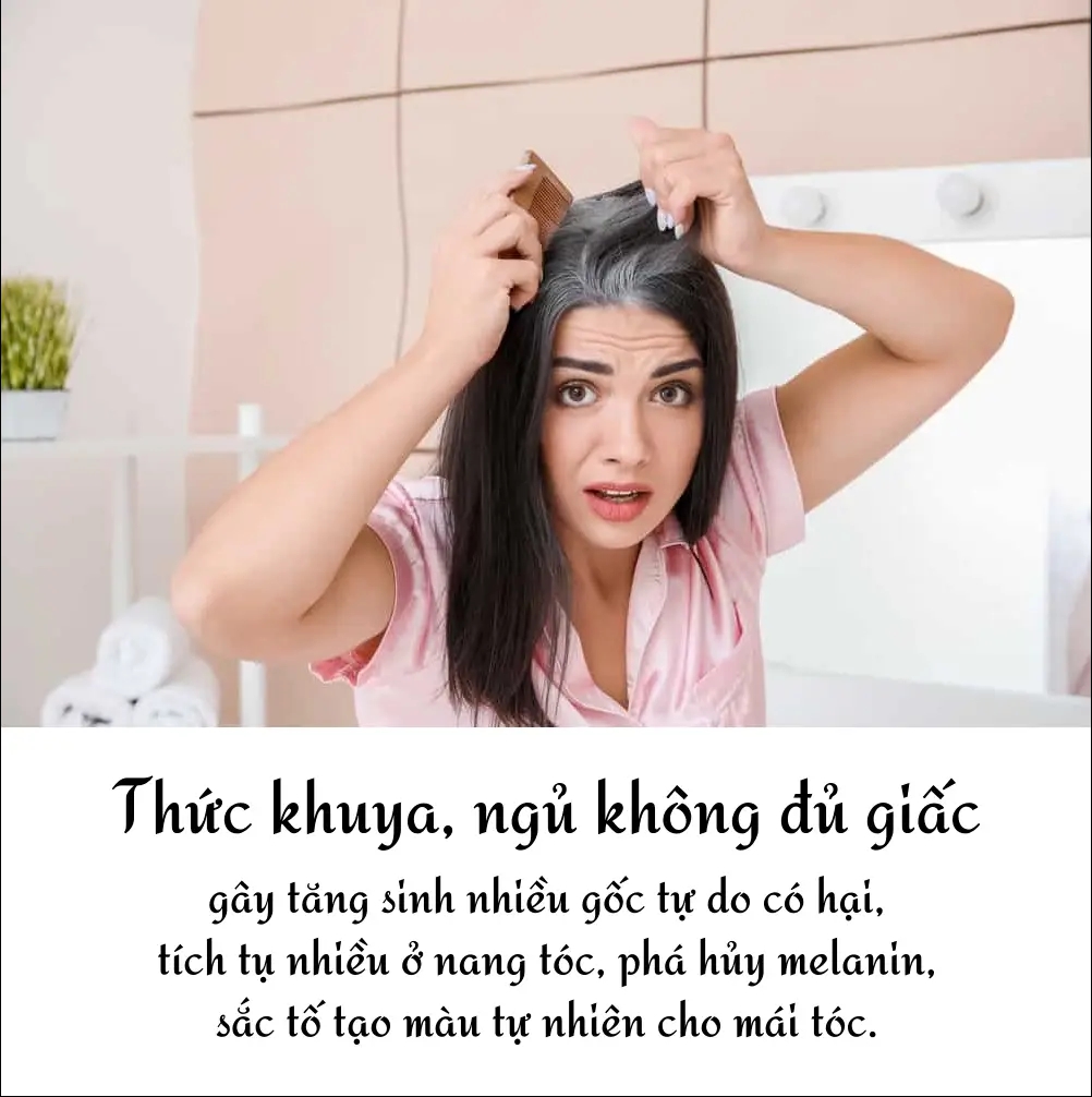 Hình ảnh Bà Già Tóc Bạc PNG Miễn Phí Tải Về  Lovepik