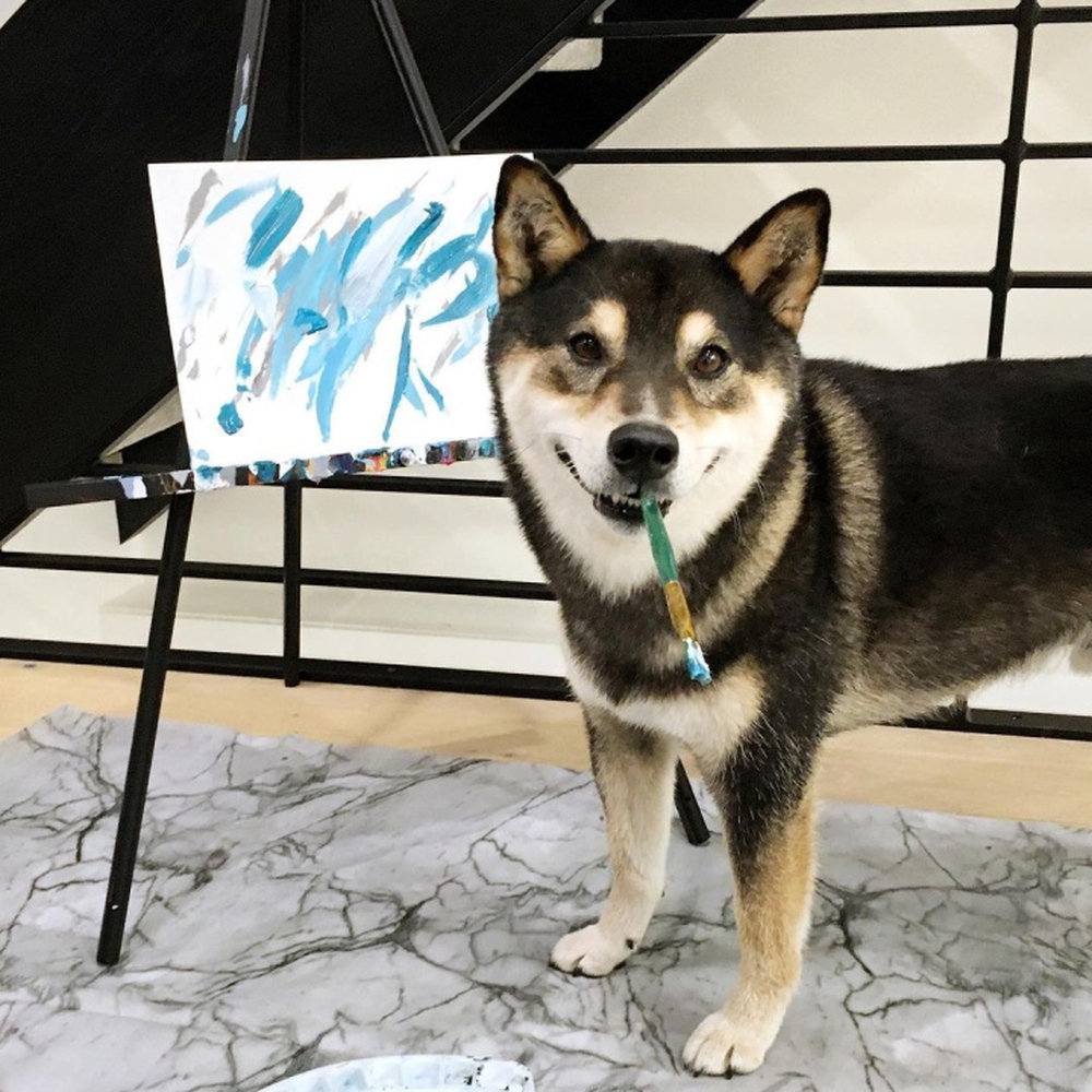 Đốm con con chó Con Vật Hoạ  Mô hình vẽ tay con chó con dễ thương png tải  về  Miễn phí trong suốt Mõm png Tải về