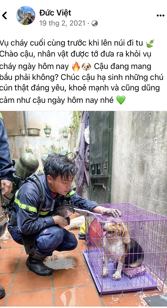 Di ảnh người lính cứu hỏa Đỗ Đức Việt bên chú cún được cứu lay động cộng đồng mạng - Ảnh 1.