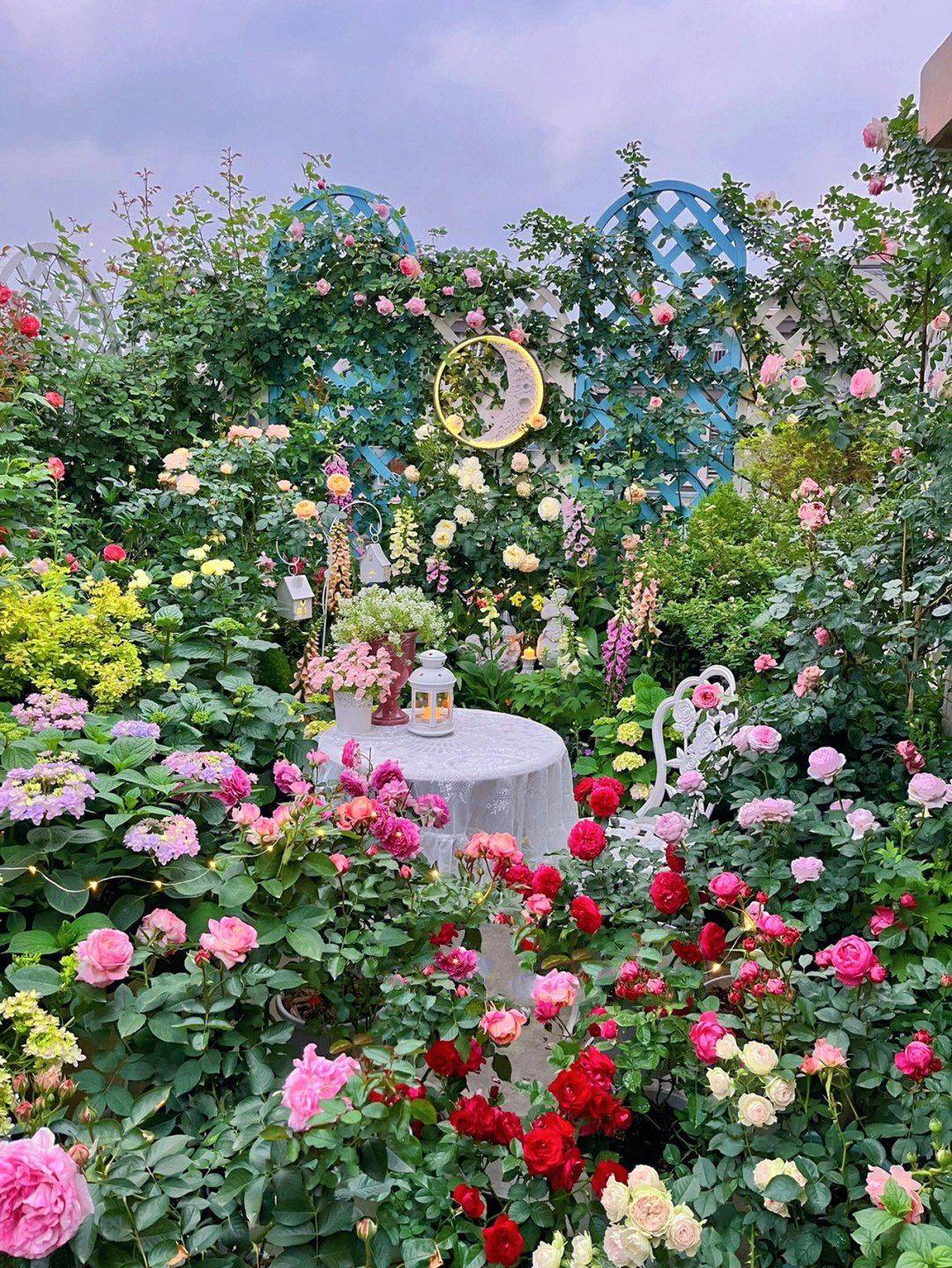 Chỉ tốn 5 tháng, sân thượng 30m² biến thành khu vườn phủ kín hoa tươi vô cùng lãng mạn - Ảnh 9.