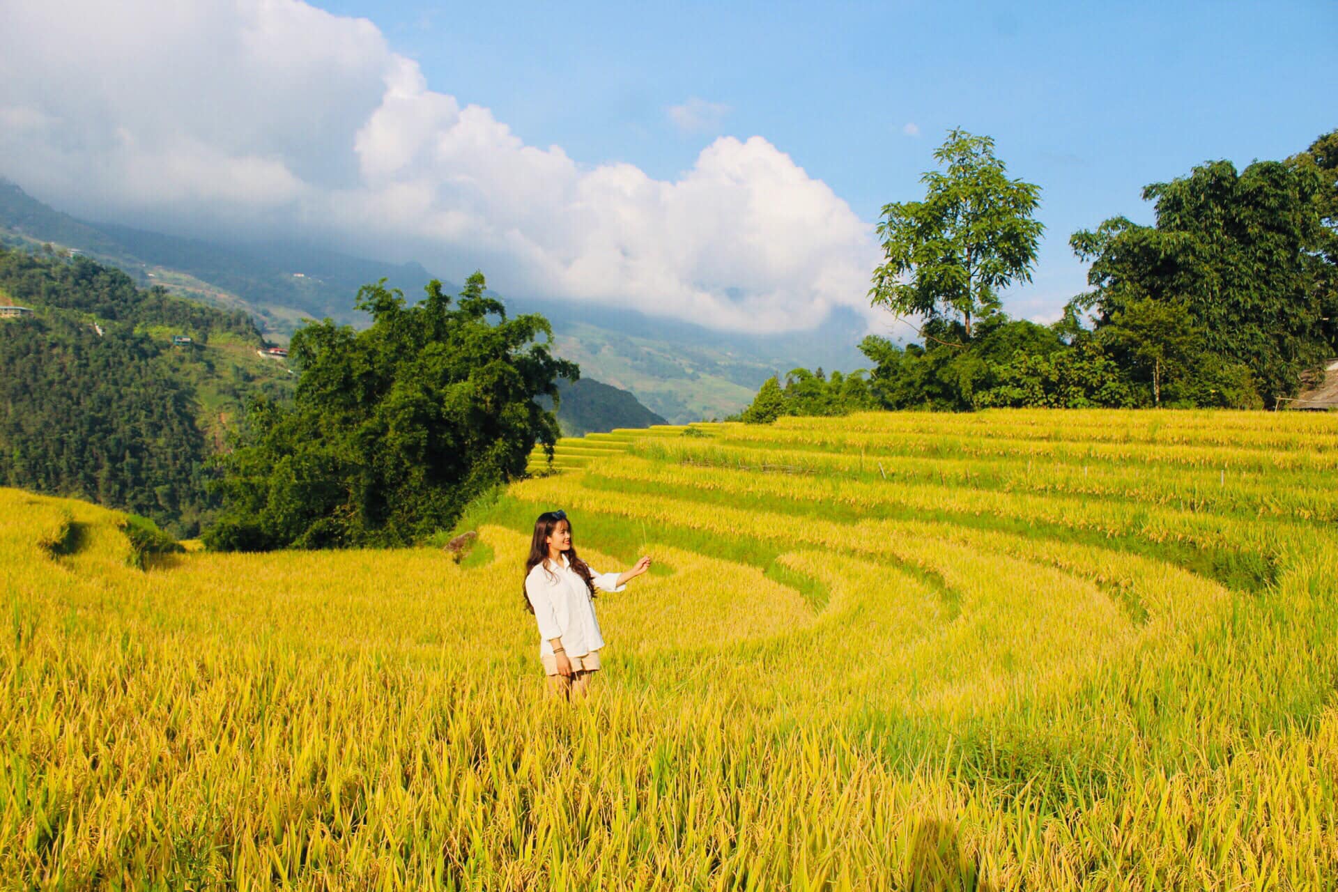 Đi săn lúa ở Sa Pa nhưng không phải ai cũng tìm được những thửa ruộng vàng óng, nguyên sơ - Ảnh 14.