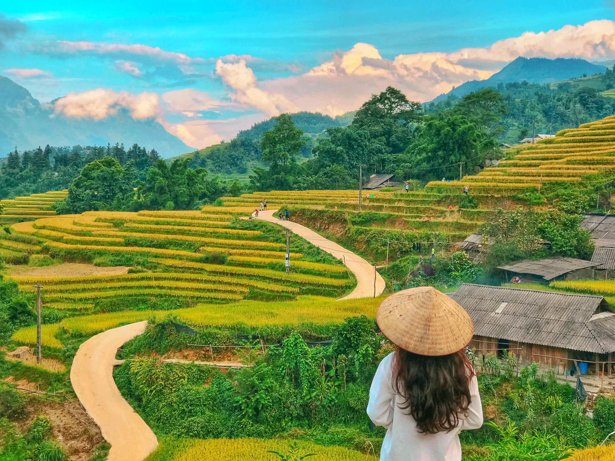 Đi săn lúa ở Sa Pa nhưng không phải ai cũng tìm được những thửa ruộng vàng óng, nguyên sơ - Ảnh 12.