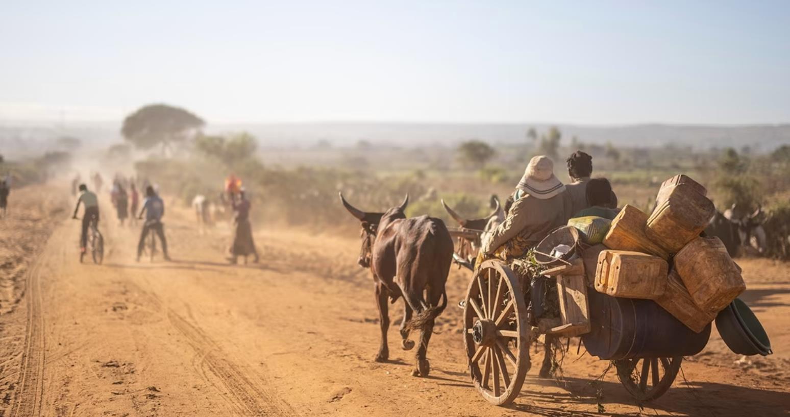 Hạn hán liên tiếp xảy ra ở Madagascar đã đẩy người dân đến bờ vực ...