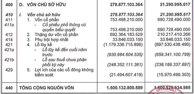 Ficus Asia Investment đã cứu Seedcom như thế... - Ảnh 2.