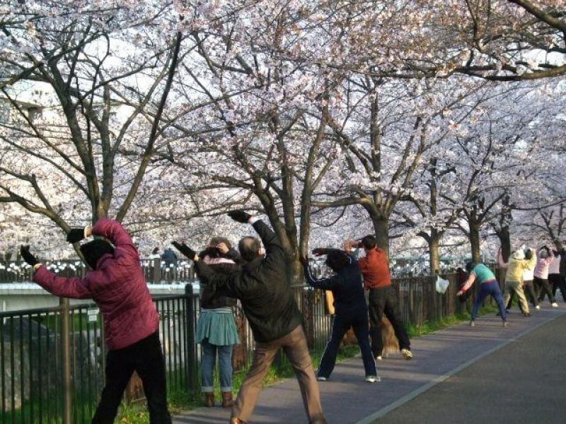 睡眠習慣は、日本人がよく眠り、地球上で最も長生きするのに役立ちます - 写真 4.