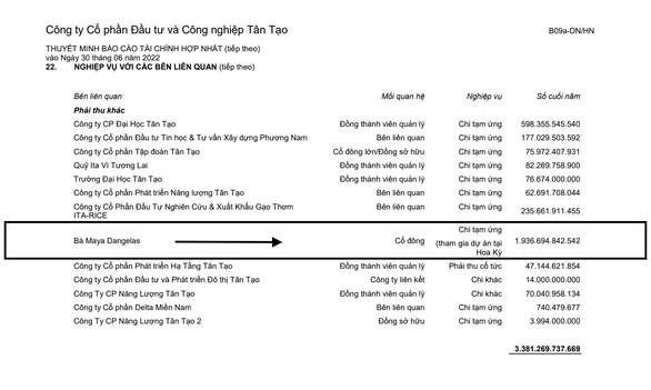 Vụ Tân Tạo chuyển ‘tiền khủng’ sang Mỹ: Quy định chuyển tiền ra nước ngoài có lỏng? - Ảnh 1.