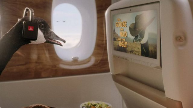Đại sứ thương hiệu mới của hãng hàng không Emirates gây bão vì quá khác biệt - Ảnh 1.