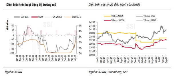 SSI Research: NHNN đã bán một lượng lớn USD từ dự trữ ngoại hối trong tháng 8 - Ảnh 1.