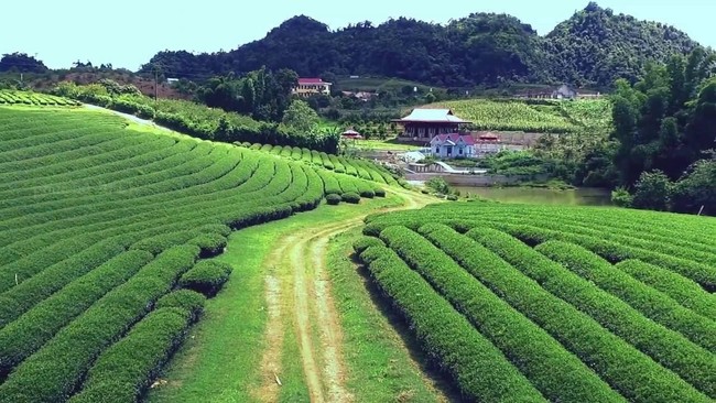 Lý do Sơn La đề xuất xây thêm sân bay Mộc Châu? - Ảnh 1.