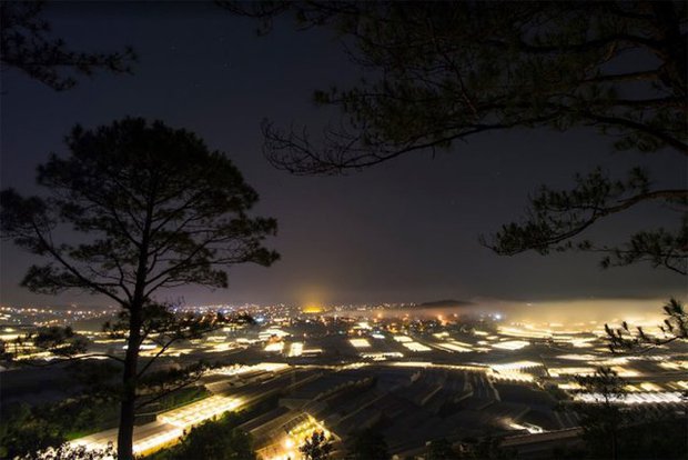 The 6 most beautiful camping sites in Da Lat: Place 3 is also known as the Cloud Hunting Sanctuary - Photo 5.