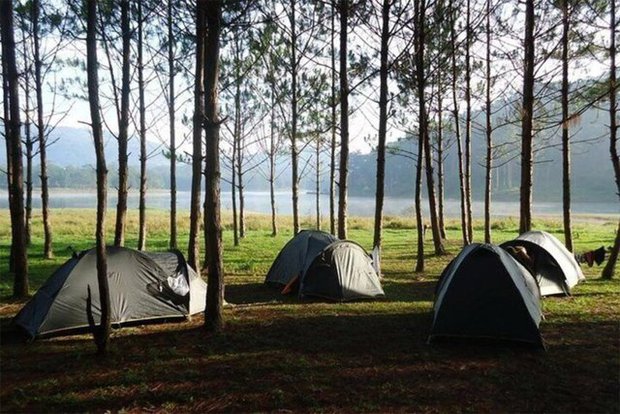 The 6 most beautiful camping sites in Da Lat: Place 3 is also known as the Cloud Hunting Sanctuary - Photo 2.
