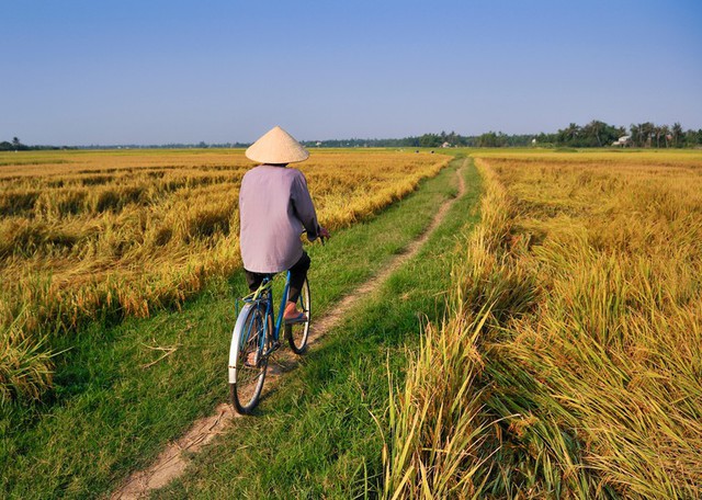 Western guests hunt for the most beautiful rice fields in Vietnam: The road is long but it's worth it - Photo 4.