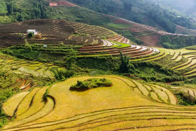 Western guests hunt for the most beautiful rice fields in Vietnam: The road is long but worth it - Photo 2.