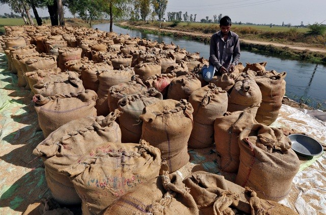  Ấn Độ bất ngờ tăng thuế xuất khẩu 20% khiến hơn 1 triệu tấn gạo mắc kẹt tại cảng - Ảnh 2.