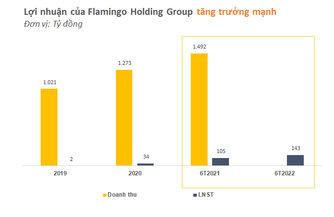 Flamingo Cát Bà giảm doanh thu, Flamingo Thái Nguyên dừng đầu tư, LNST 6T2022 của Flamingo Holding vẫn tăng 36% - Ảnh 1.