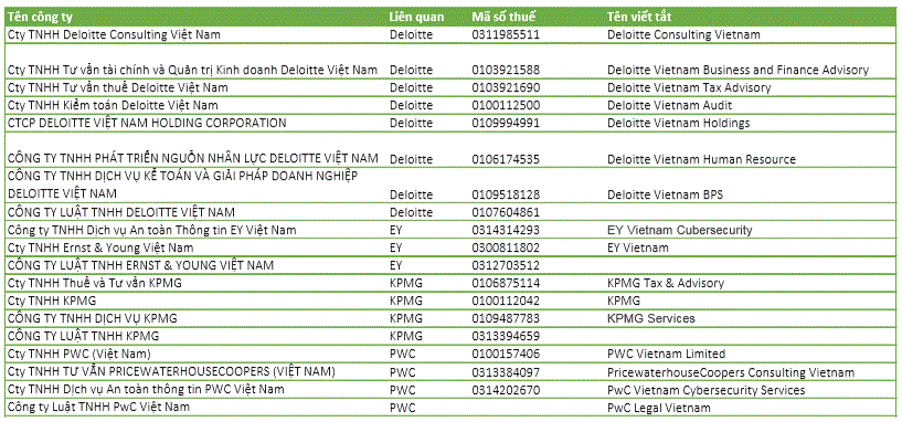 Big4 kiểm toán Việt Nam: Doanh thu nghìn tỷ nhưng lãi tí hon - Ảnh 1.