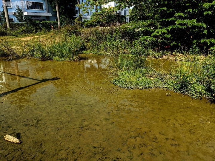 Cận cảnh dự án 1.100 tỷ đồng của bệnh viện ở Quảng Ngãi giậm chân tại chỗ - Ảnh 5. Cận cảnh dự án 1.100 tỷ đồng của bệnh viện ở Quảng Ngãi giậm chân tại chỗ - Ảnh 5.